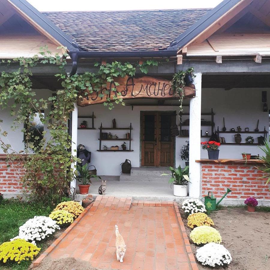 Amanet House Zasavica Apartment Luaran gambar