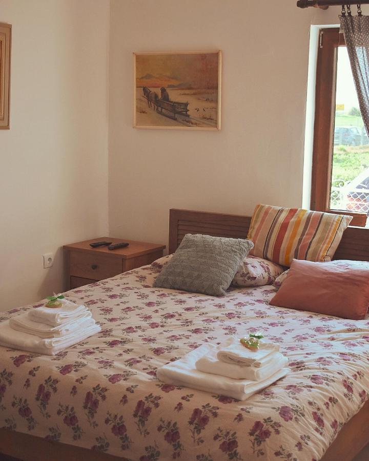 Amanet House Zasavica Apartment Luaran gambar