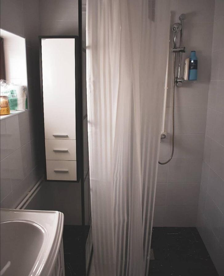 Amanet House Zasavica Apartment Luaran gambar