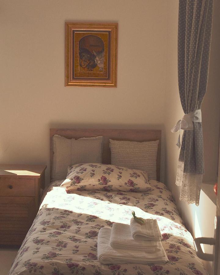 Amanet House Zasavica Apartment Luaran gambar