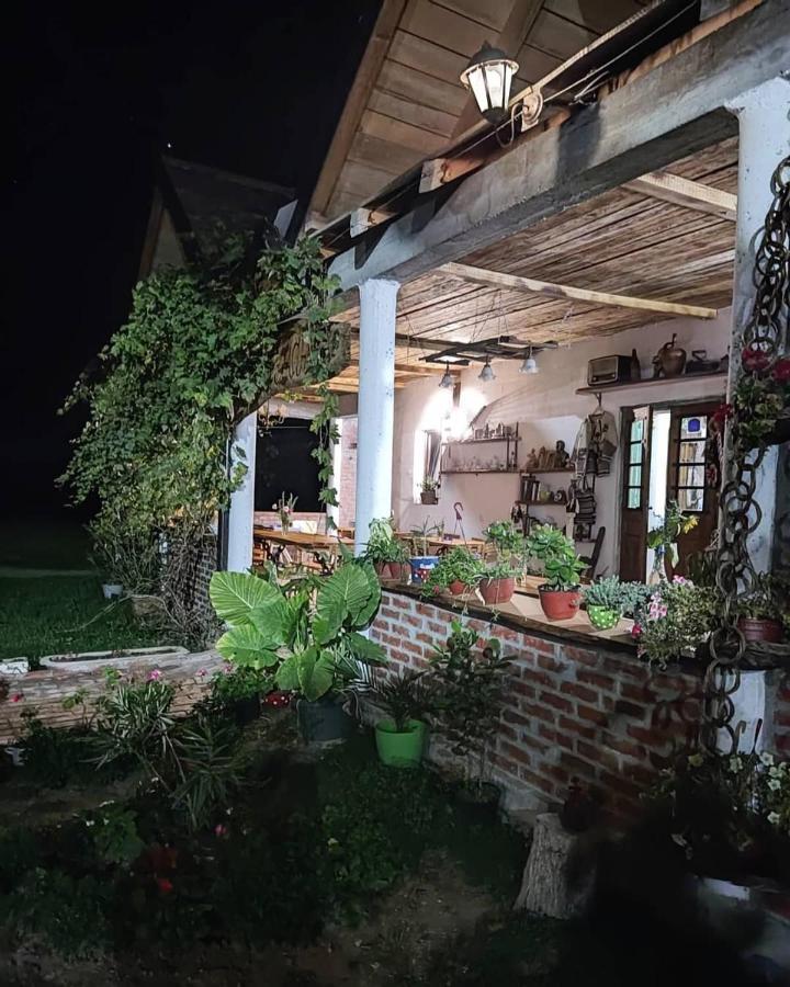 Amanet House Zasavica Apartment Luaran gambar